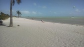 Enlarge photo 135