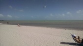 Enlarge photo 137