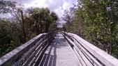 Enlarge photo 151