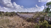 Enlarge photo 153