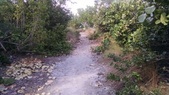 Enlarge photo 152