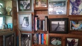 Enlarge photo 165