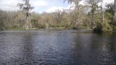 Enlarge photo 177