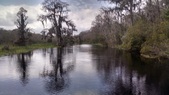 Enlarge photo 178