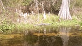Enlarge photo 180