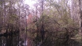 Enlarge photo 181