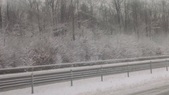 Enlarge photo 186
