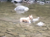 Enlarge photo 14