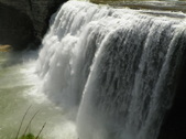 Enlarge photo 55
