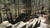 Enlarge photo 71