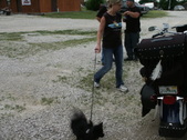 Enlarge photo 23