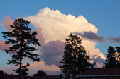 Enlarge photo 34