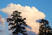 Enlarge photo 37