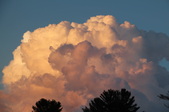 Enlarge photo 39