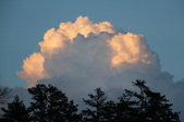 Enlarge photo 40