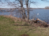 Enlarge photo 16