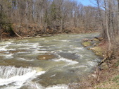 Enlarge photo 18