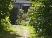 Enlarge photo 45
