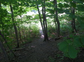 Enlarge photo 46