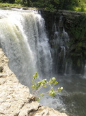 Enlarge photo 49