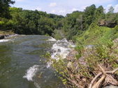 Enlarge photo 50