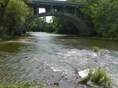 Enlarge photo 51