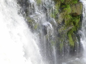 Enlarge photo 56
