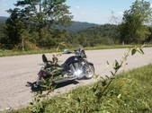 Enlarge photo 23