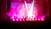 Enlarge photo 17