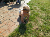 Enlarge photo 24