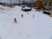 Enlarge photo 17