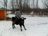 Enlarge photo 21
