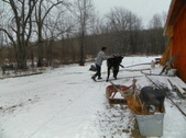 Enlarge photo 23
