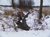 Enlarge photo 25