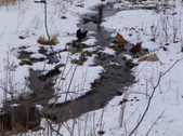 Enlarge photo 26
