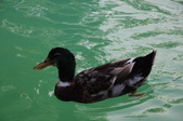 Enlarge photo 26