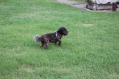 Enlarge photo 31
