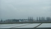 Enlarge photo 1