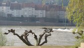 Enlarge photo 19