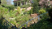 Enlarge photo 24