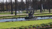 Enlarge photo 7