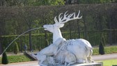 Enlarge photo 10