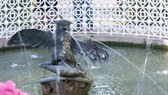 Enlarge photo 22