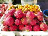 Enlarge photo 41