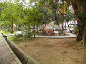 Enlarge photo 92