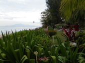Enlarge photo 98