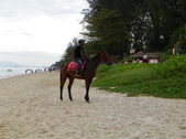 Enlarge photo 107