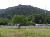 Enlarge photo 114
