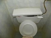 Enlarge photo 120