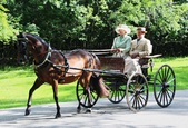 Enlarge photo 39